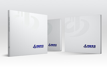 淳峰集團企業形象設計